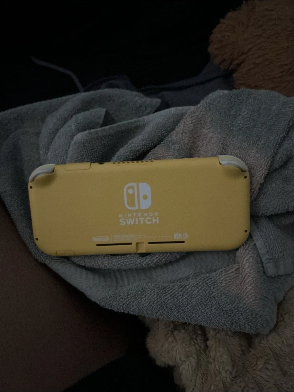 Nintendo portable switch